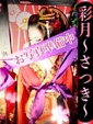 彩月-さつき-