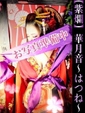 華月音-はつね-