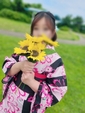 さくら