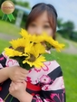 さくら