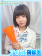 向日葵【ひまわり】