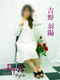 吉野羽陽