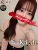 �J�G�f�y�Ί疞�J�����̃o�j�[��z